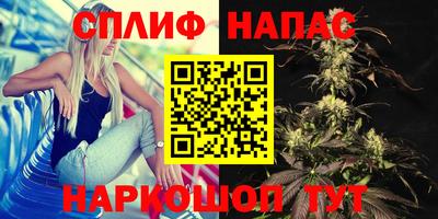 каннабис Донской
